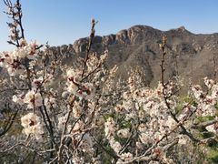 -天津盘山风景名胜区