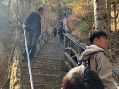 -汤旺河林海奇石景区