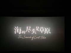 -万达影城(江北万达广场IMAX店)