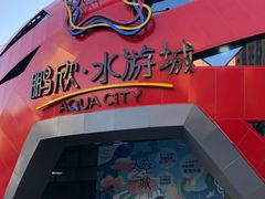 -鹏欣水游城
