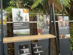 -怀托摩萤火虫洞