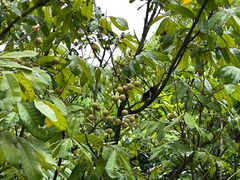 -白云山风景名胜区