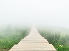 -白草畔自然风景区