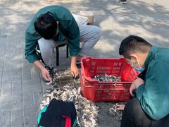 -东兴顺爆肚张
