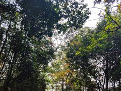 -昭山风景名胜区