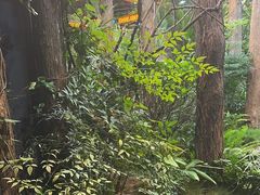 -时间仓(月湖公园店)