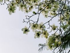 -睦南公园