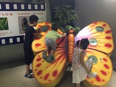 -上海昆虫博物馆