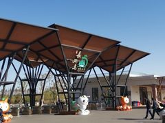 -上海长兴岛郊野公园