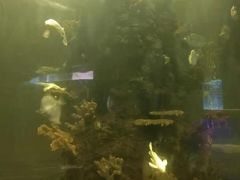 -嘉兴海底世界