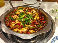 -乡土特色.冷锅鱼.牦牛肉汤锅