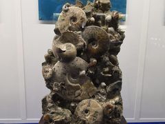 -贝壳王国博物馆