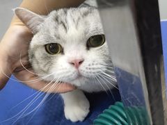 -佳雯宠物医院·皮肤科·内外科(春晓路分院)