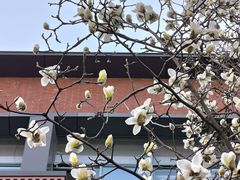 -浙江大学(玉泉校区)