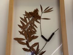 -香港科学馆