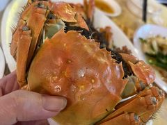 -老字号蛇口德记烧腊饭店·海鲜加工