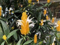 -优游吧斯邹族文化部落