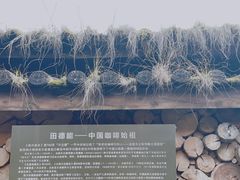 -田德能咖啡博物馆