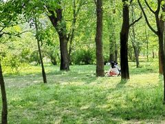 -国家植物园南园