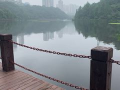 -重庆彩云湖湿地公园