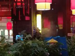 -蜀大侠火锅(森兰花园城店)