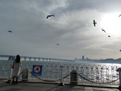 -星海湾跨海大桥