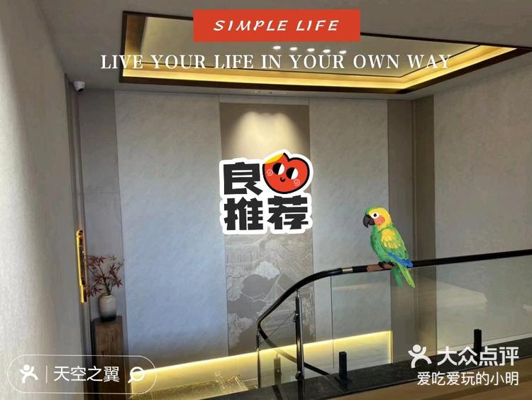 69千子莲足道享受宁静的舒适时光