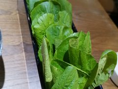 -刘一锅筋头巴脑(小北店)