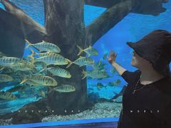 -福州罗源湾海洋世界旅游区