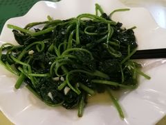 蒜蓉炒番薯叶-金辉海鲜餐厅