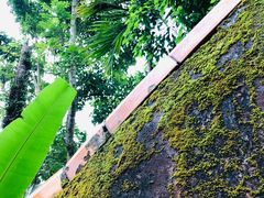 -海南白石岭旅游区