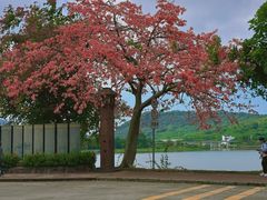 -风云岭森林公园
