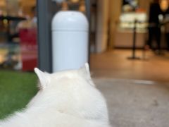 -Peet's Coffee皮爷咖啡(万象天地店)