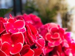 -二酉书店TOYOU BOOKS