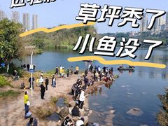 -重庆彩云湖湿地公园