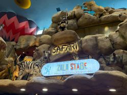 点击看大图 -卡通尼·Safari非洲探索乐园·生日会(金桥国际商业广场店)