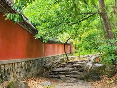 -阳台山自然风景区