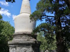 -北京鹫峰国家森林公园