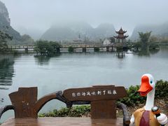 -靖西鹅泉风景区