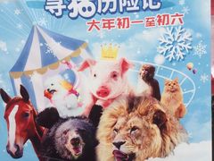 -朝阳公园游乐园