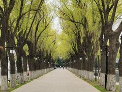 -北陵公园