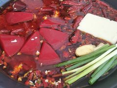 -黄潇洒老火锅(九眼桥宏济巷店)