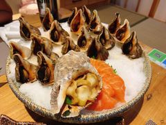海螺-松竹和日式料理(辽阳店)