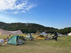 -羊山湖公园