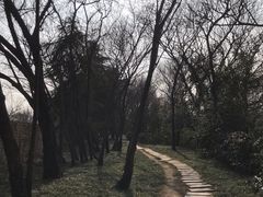 -南京城墙景区