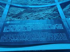 -中国西峡恐龙遗迹园