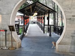 -侨美·唐荔园·40年地道粤菜