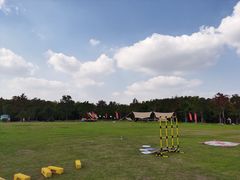 -上海海湾国家森林公园