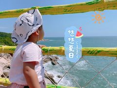 -广东惠东海龟国家级自然保护区
