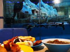 -帝企鹅自助餐厅•儿童岛•真企鹅(长隆企鹅酒店)